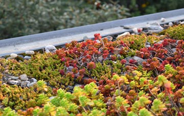 the cost of Palmers Cross green roof installation