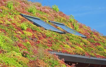 Palmers Cross living roof systems