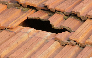 roof repair Palmers Cross